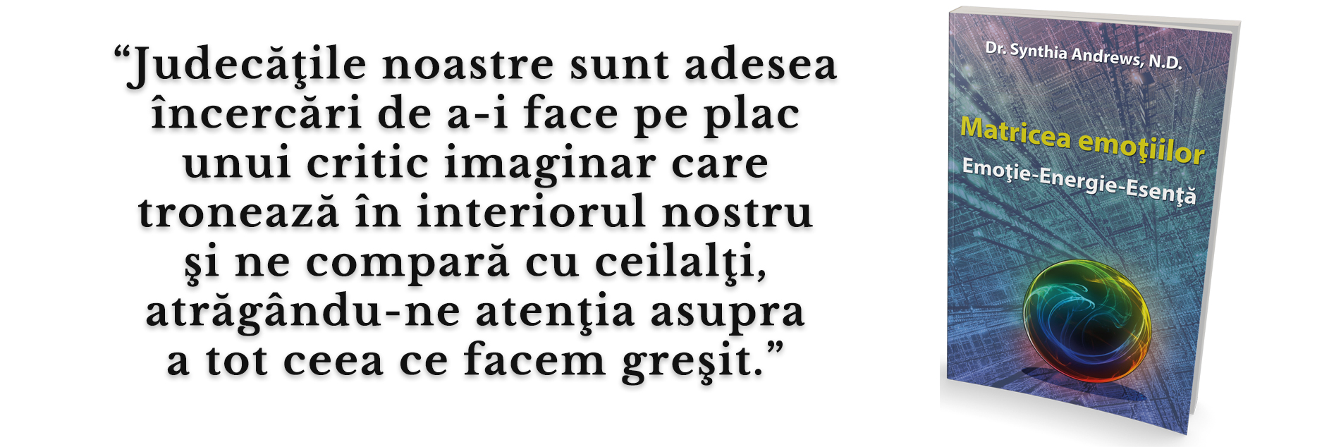 Matricea critic