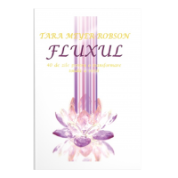 Fluxul-40 de zile pentru o transformare totală a vieţii  - Tara Meyer-Robson